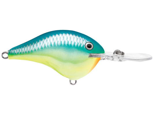 Rapala DT Series 12' 3/5oz 2.25in Caribbean Shad
