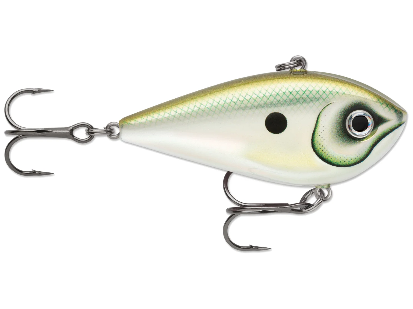 Rapala Snare 50 Green Gizzard Shad