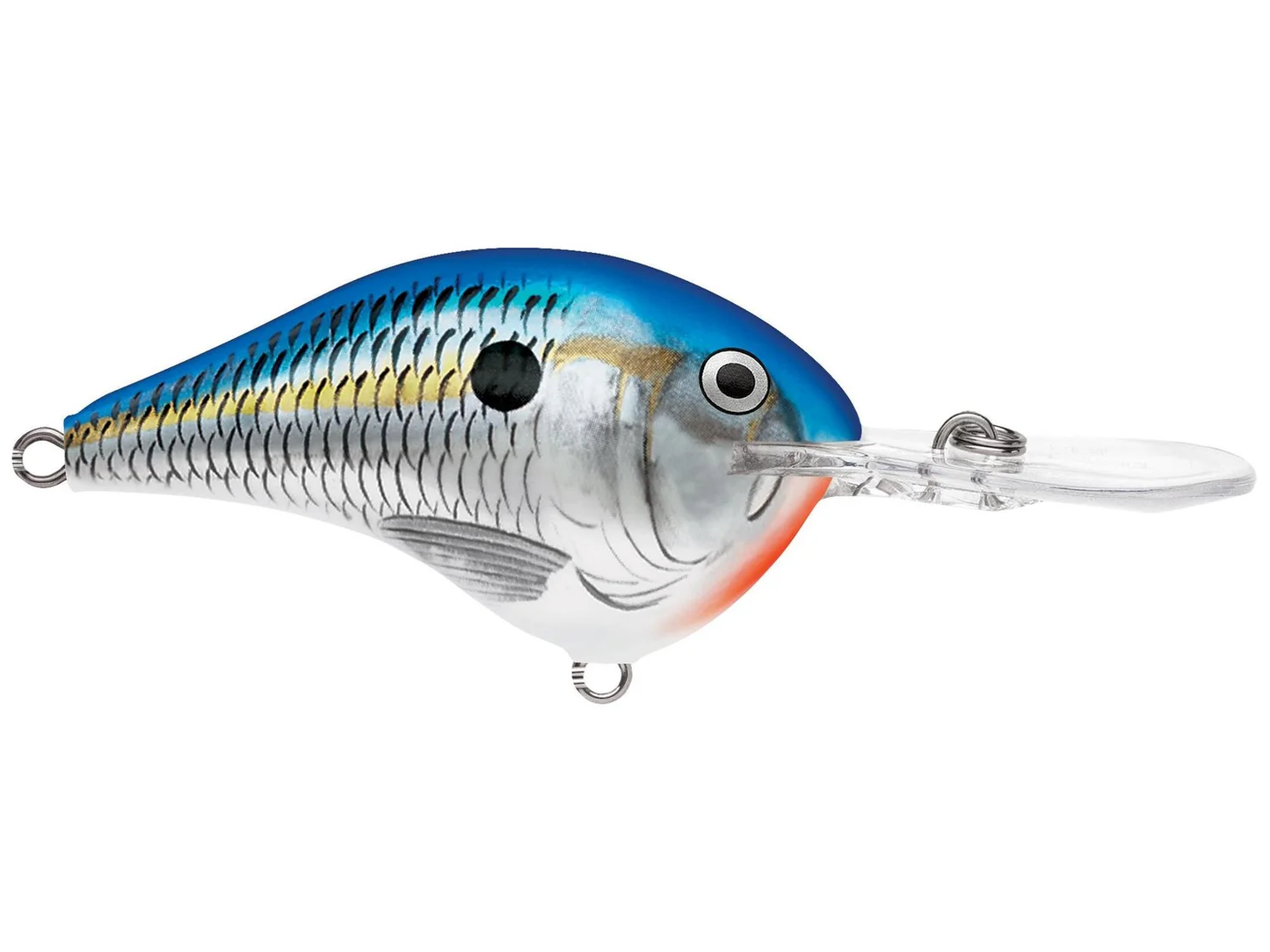Rapala DT Series 12' 3/5oz 2.25in Blue Shad