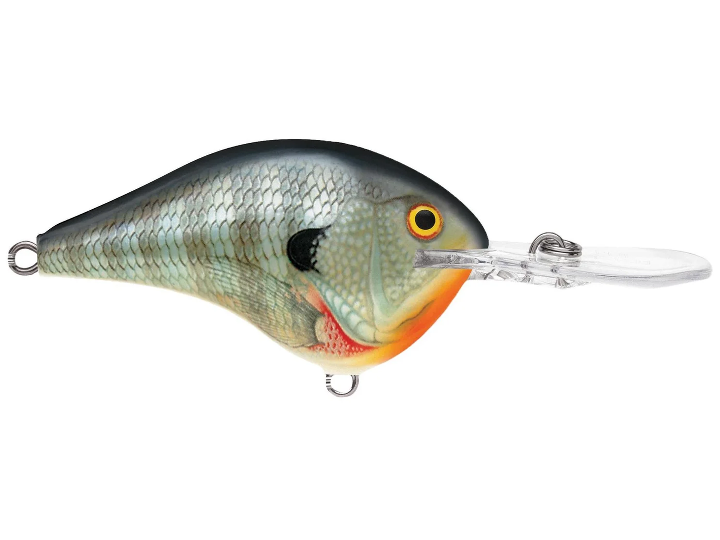 Rapala DT Series 12' 3/5oz 2.25in Bluegill