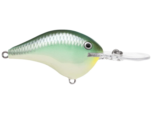 Rapala DT Series 12' 3/5oz 2.25in Blue Back Herring