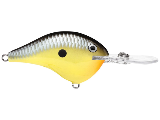 Rapala DT Series 12' 3/5oz 2.25in Old School