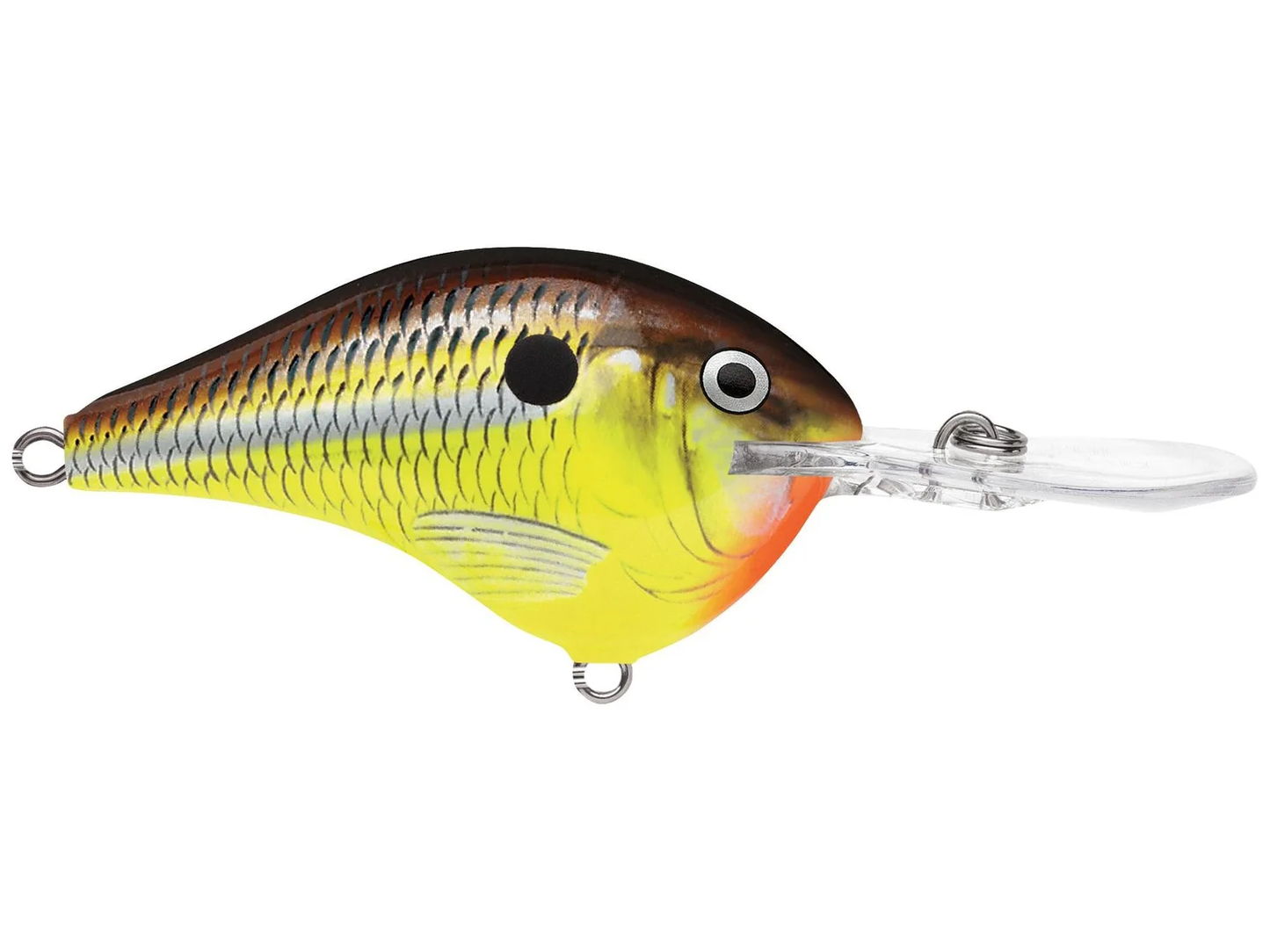 Rapala DT Series 12' 3/5oz 2.25in Hot Mustard