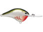Rapala DT Series 12' 3/5oz 2.25in Bleeding Oliv Shnr