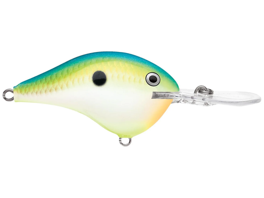 Rapala DT Series 12' 3/5oz 2.25in Citrus Shad