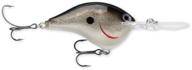 Rapala DT Series 3/4 Silver
